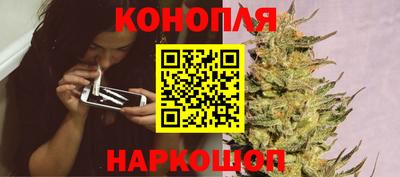 гидропоника Кунгур