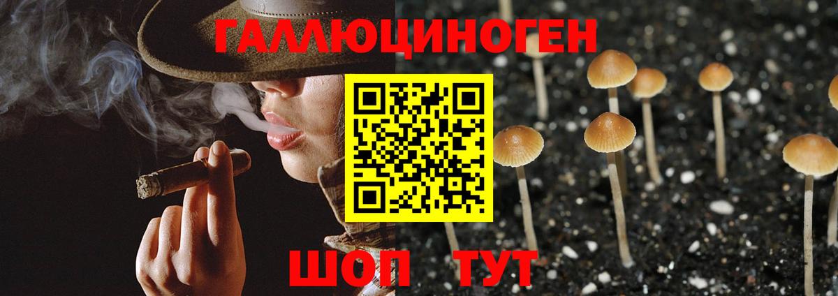 Шатура  Галлюциногенные грибы ЛСД  Вход с VPN 